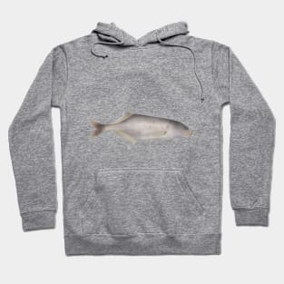 Trunkfish Hoodie